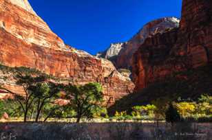 Zion Fall color-4417 Zion Fall color-4417